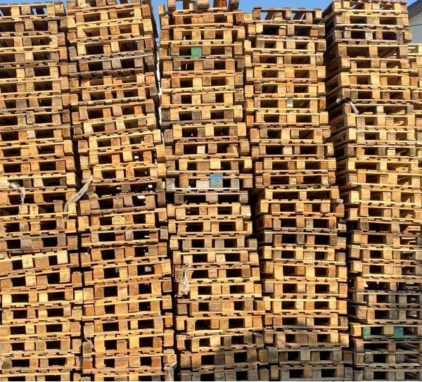 �mha Geri D�n���m